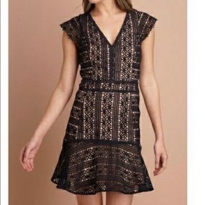 Rare Anthropologie Amaryn Flounce Dress